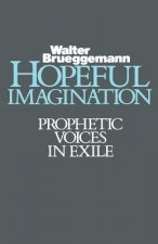Hopeful Imagination