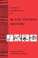 Fortress Introduction to Black Church History