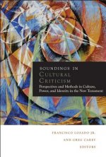 Soundings in Cultural Criticism