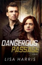 Dangerous Passage - A Novel