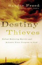 Destiny Thieves - Defeat Seducing Spirits and Achieve Your Purpose in God