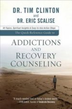 Quick-Reference Guide to Addictions and Reco - 40 Topics, Spiritual Insights, and Easy-to-Use Action Steps