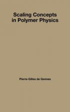 Scaling Concepts in Polymer Physics
