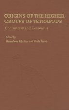 Origins of the Higher Groups of Tetrapods