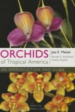Orchids of Tropical America
