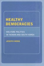 Healthy Democracies