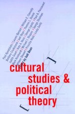 Cultural Studies and Political Theory