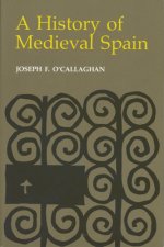 History of Medieval Spain