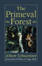 Primeval Forest