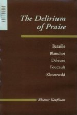 Delirium of Praise