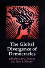 Global Divergence of Democracies