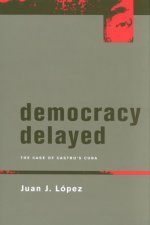 Democracy Delayed