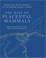 Rise of Placental Mammals