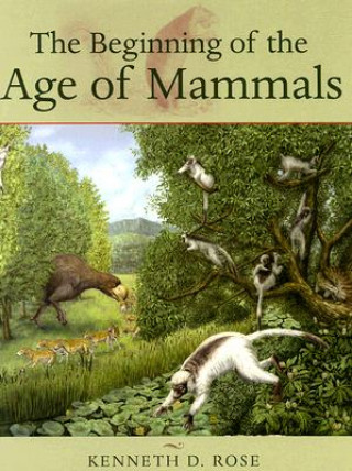 Beginning of the Age of Mammals