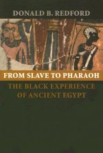 From Slave to Pharaoh