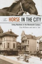 Horse in the City