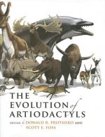 Evolution of Artiodactyls