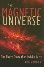 Magnetic Universe