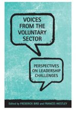 Voices From the  Voluntary Sector