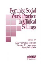 Feminist Social Work Practice in Clinical Settings