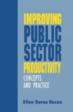 Improving Public Sector Productivity