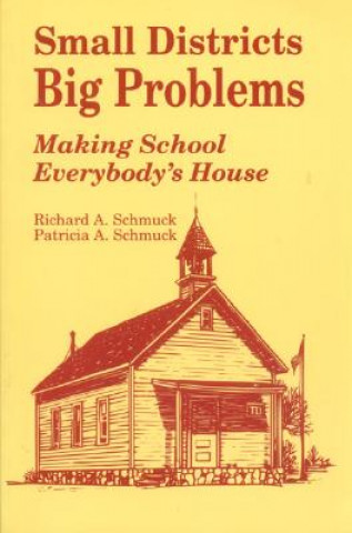 Small Districts, Big Problems
