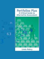 Portfolios Plus