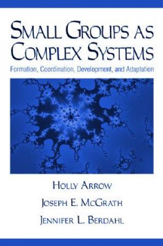 Small Groups as Complex Systems