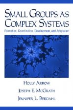 Small Groups as Complex Systems