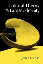 Cultural Theory and Late Modernity