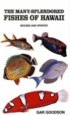 Many-splendored Fishes of Hawaii