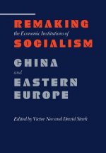 Remaking the Economic Institutions of Socialism