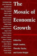 Mosaic of Economic Growth