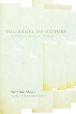 Angel of History