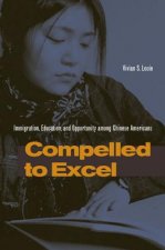 Compelled to Excel