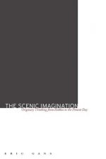 Scenic Imagination