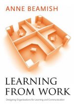 Learning from Work