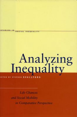 Analyzing Inequality