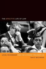 Affective Life of Law