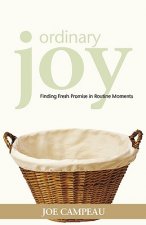 Ordinary Joy