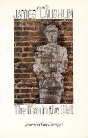 Man in the Wall