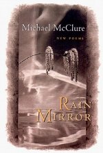 Rain Mirror
