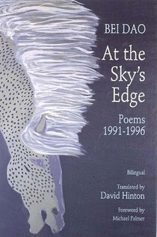 At the Sky's Edge - Poems 1991-1996
