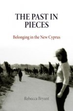 Past in Pieces