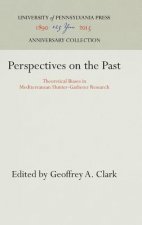 Perspectives on the Past