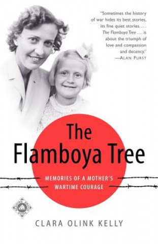 Flamboya Tree