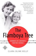 Flamboya Tree