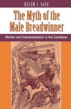 Myth Of The Male Breadwinner