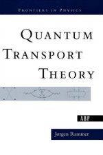 Quantum Transport Theory