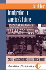 Immigration In America's Future